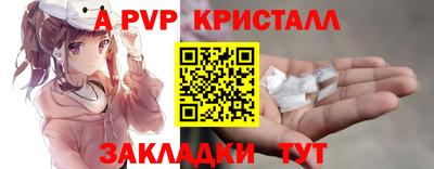 шишки Дубна