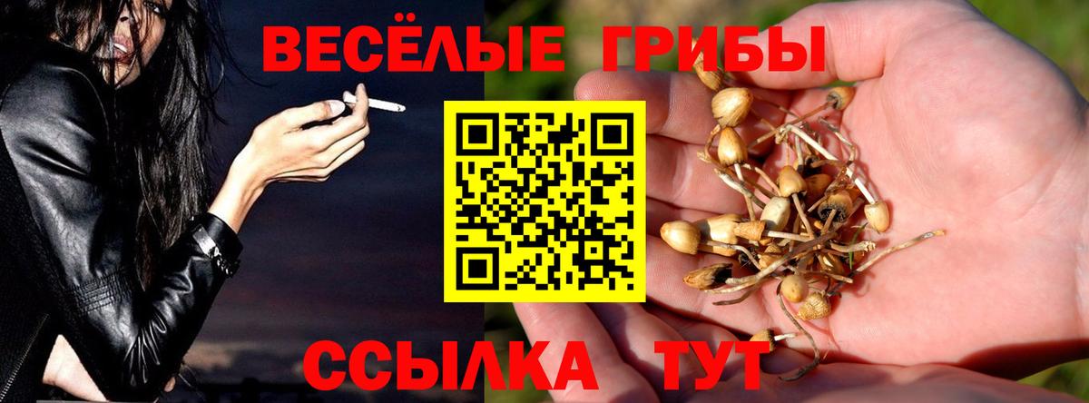 Галлюциногенные грибы MAGIC MUSHROOMS Нефтекумск